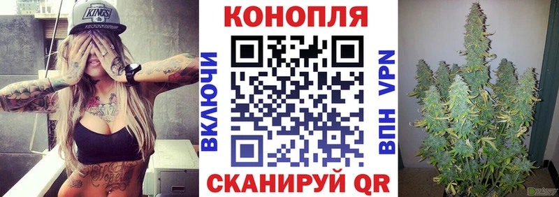 Марихуана сатива Далматово